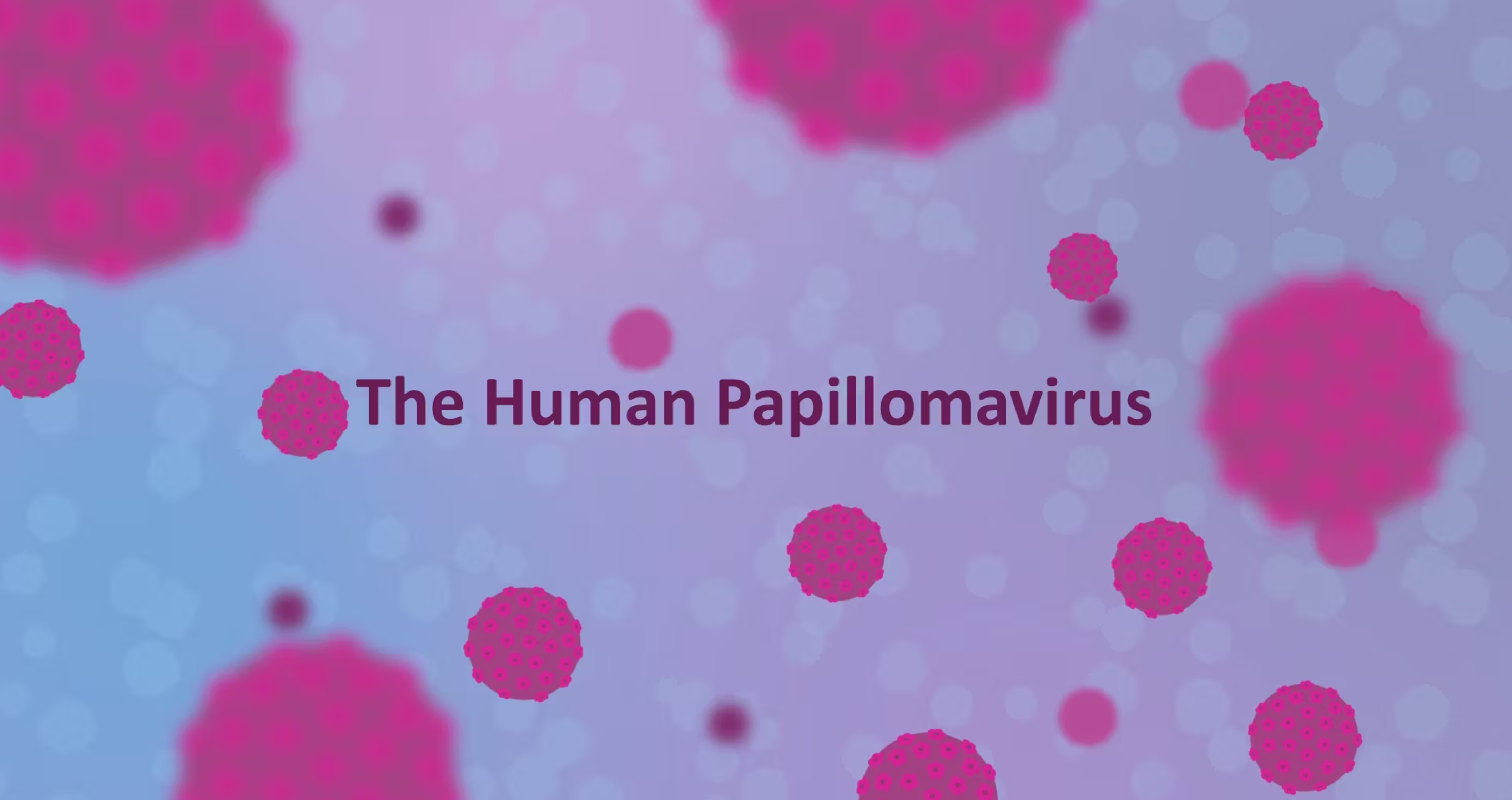 Animiran video o HPV - človeškem papilomavirusu